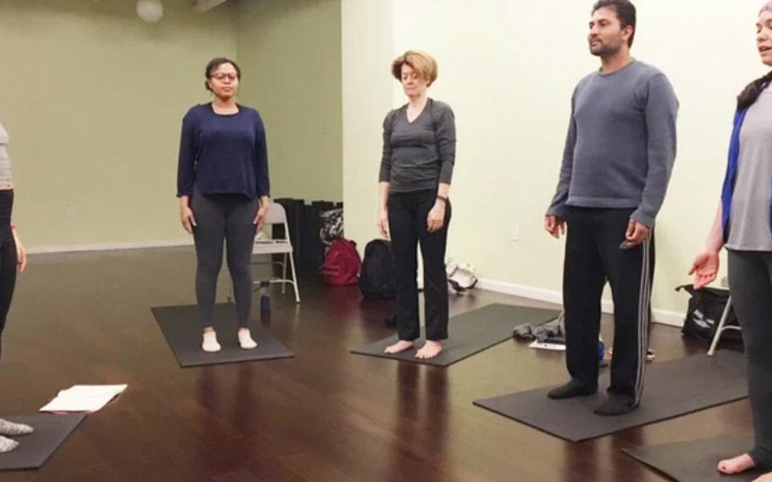 TRAUMA-INFORMED, Yoga & Diversity Training