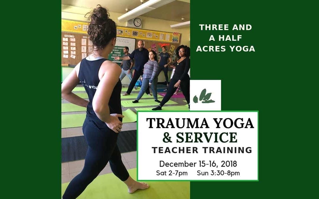 TRAUMA-INFORMED, Yoga & Diversity Training