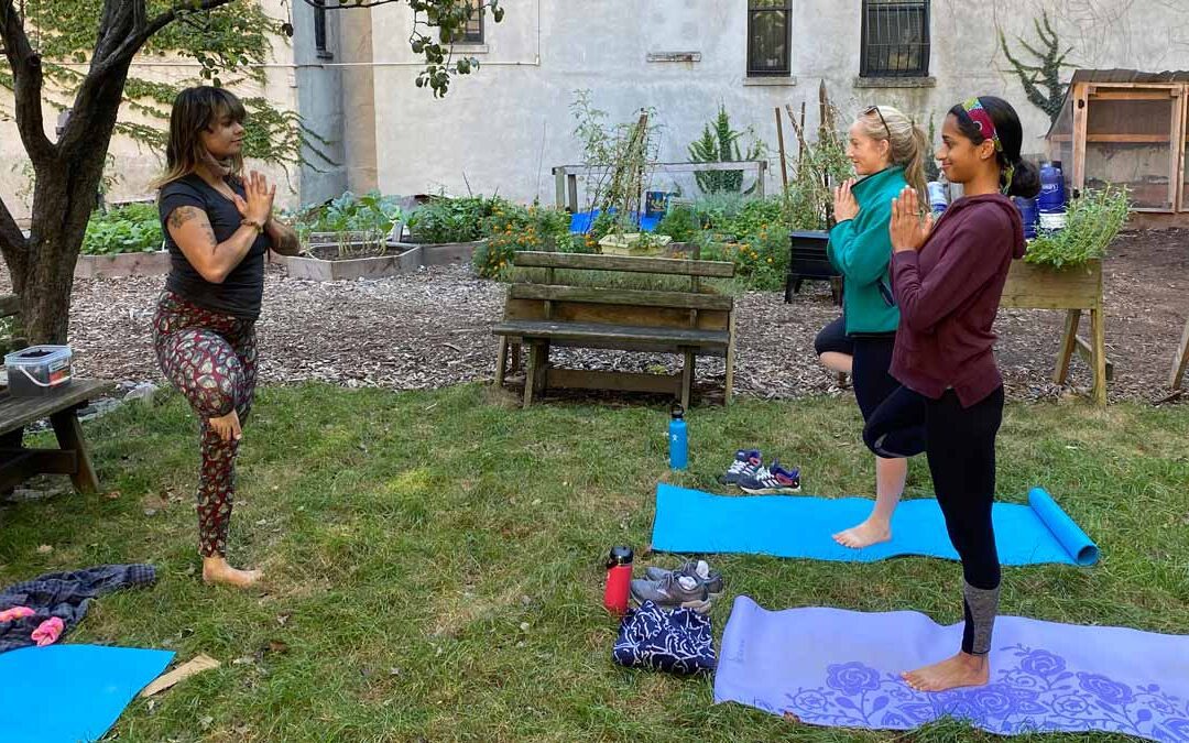 Harlem Grown - Three and a half acres - backyard yoga in Harlem