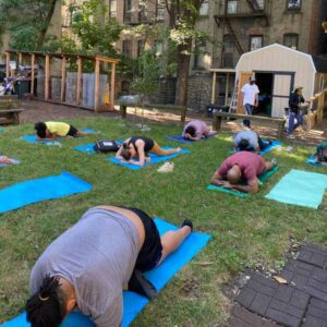 Harlem Grown - Three and a half acres - backyard yoga in Harlem