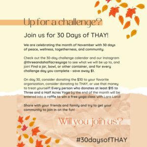 30 days of THAY