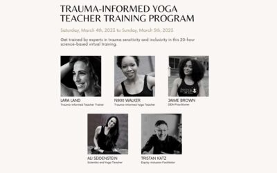 What to know about THAY’s Trauma-informed Yoga Teacher Training